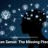 Common Sense: The Missing Piece in AI